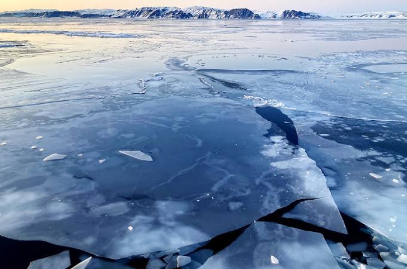 Paseando sobre un hielo cada vez más fino: desafíos en el cambiante Ártico