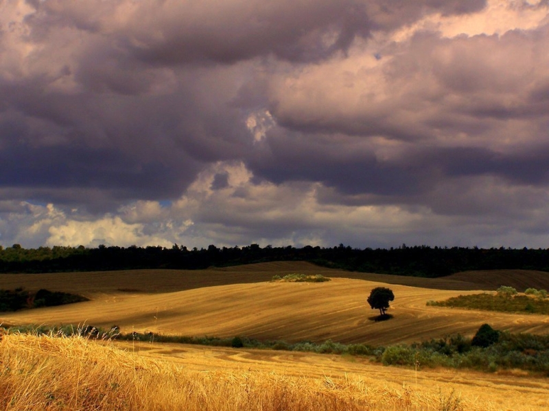 Evolución de las temperaturas y precipitaciones en las capitales de Castilla y León en el período 1961-2006
