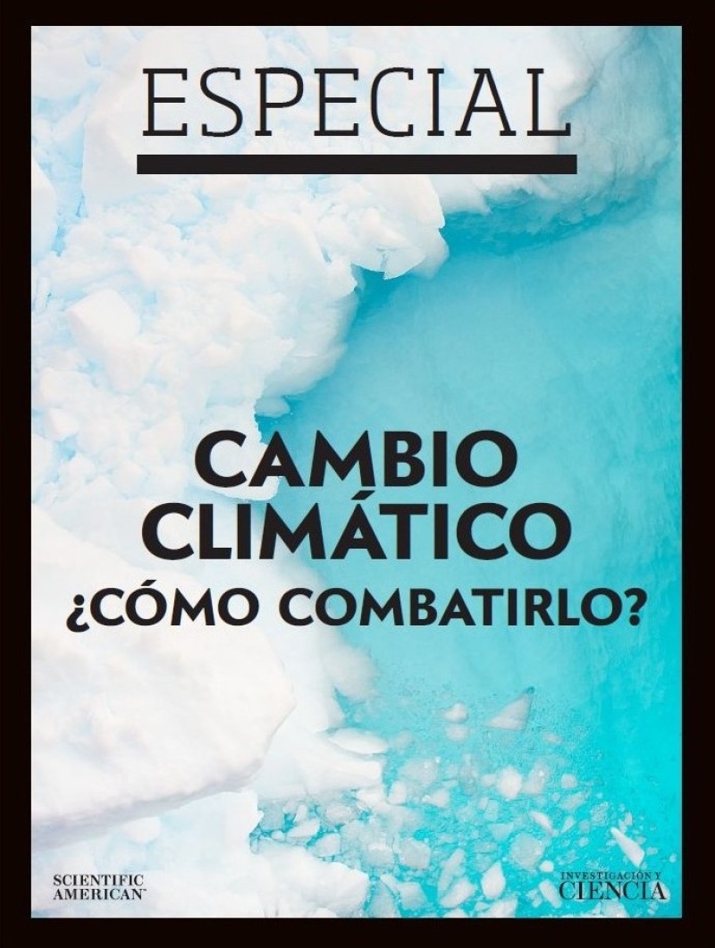 Cambio climático: ¿Cómo combatirlo?