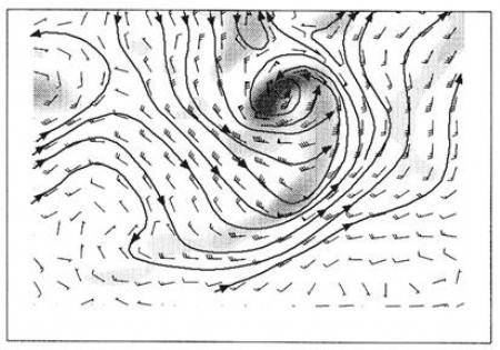 De los invariantes para masas de aire a la vorticidad potencial
