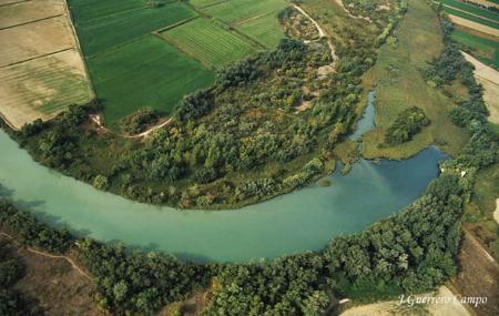Irregularidad pluviométrica y continentalidad térmica en el valle medio del Ebro