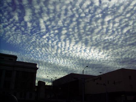 La observación del estado del cielo. Tiempo, clima, pronóstico y cultural popular en Villena (Alicante)