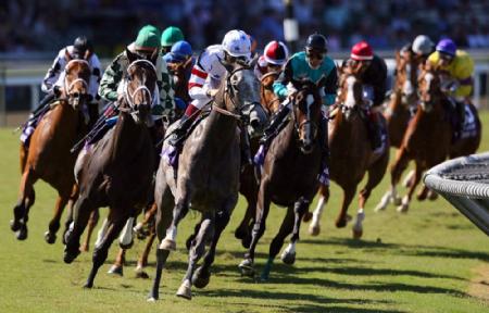 Meteorología y carreras de caballos. La importancia del estado de la pista