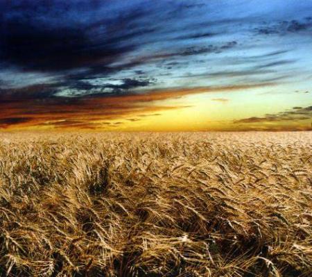 Las sequías climáticas en la cuenca del Duero