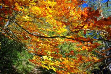 El otoño meteorológico