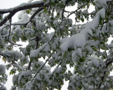 La nieve y su distribución espacial en la Península Ibérica