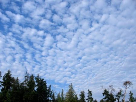 Clima y sabiduría popular: El refranero climático