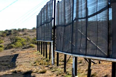 Captación de nieblas: fundamentos, experiencias y aplicaciones en el ámbito forestal