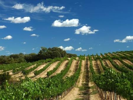Climas agrícolas de España