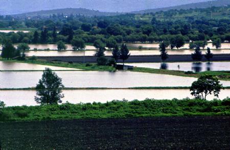 Adversidades agroclimáticas