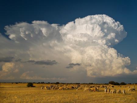 Tormentas severas en la Ibérica de Teruel y sus efectos sobre la masa forestal