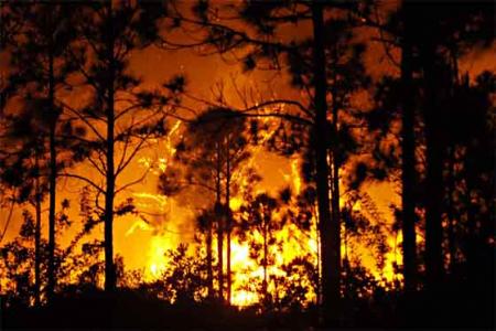 La Meteorología y los incendios forestales