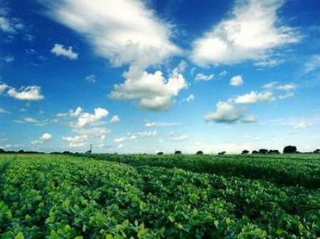 Caracteres agroclimáticos del año