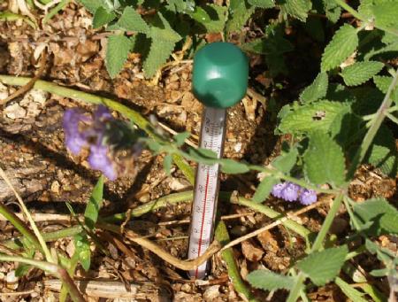 Temperatura y humedad de las tierras