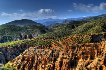 Interacción entre vegetación, erosión y desertificación