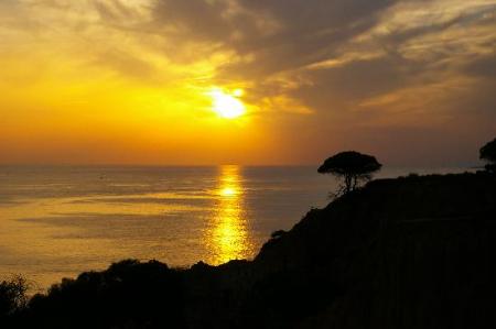 El sol durante el invierno en el sur. Dinámica y diferencias regionales en un área de economía emergente: las costas andaluzas