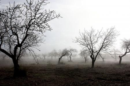 Dos de febrero. Refranes romances de la Candelaria y meteorología popular