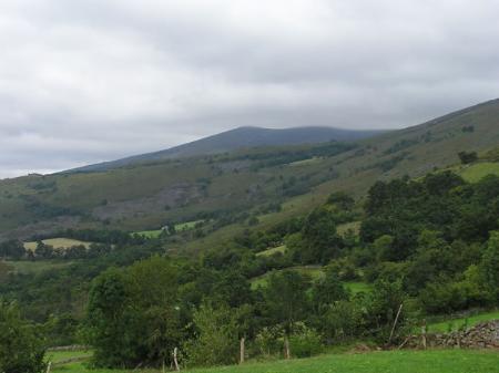 Clima de bosque y clima de prado en el litoral cantábrico