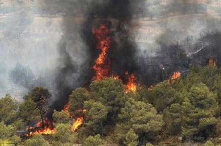 Clima e incendios forestales en Cantabria: evolución y tendencias recientes