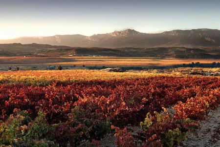 Climatología y régimen de lluvias en la Rioja Alta. Siglos XVI al XIX