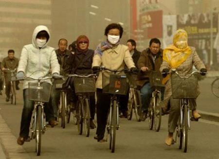Efectos de la contaminación atmosférica sobre la salud: una introducción
