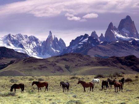Conocimientos de los campesinos andinos sobre los predictores climáticos: elementos para su verificación