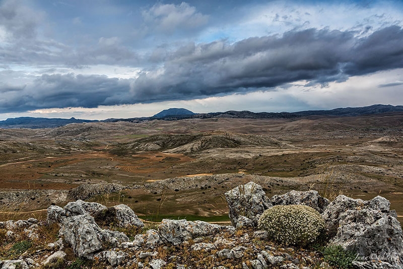 Polos fríos en el Calar de Hernán Pelea y Cabrilla (Jaén, España), factores sinópticos y de microescala