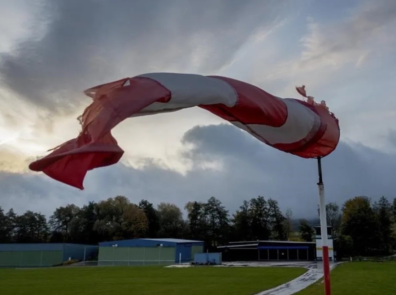 Estudio estadístico del viento en Alemania y análisis de sus implicaciones en el clima local