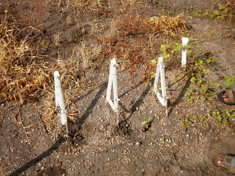 La temperatura del suelo