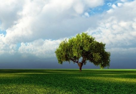 Clima, atmósfera y ambiente: una pregunta más allá de las ciencias naturales