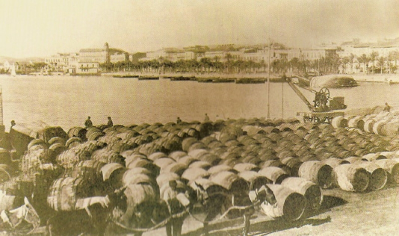 Un indicador climático para el Alicante del siglo XVIII. Los manifiestos del vino