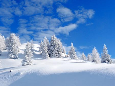 ¿Por qué la nieve es blanca?