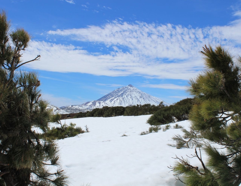 Nevadas en Canarias. Episodios de altura