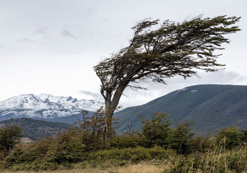 Los lugares más ventosos de la Tierra